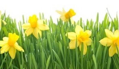 Next programme returns in spring 2024!